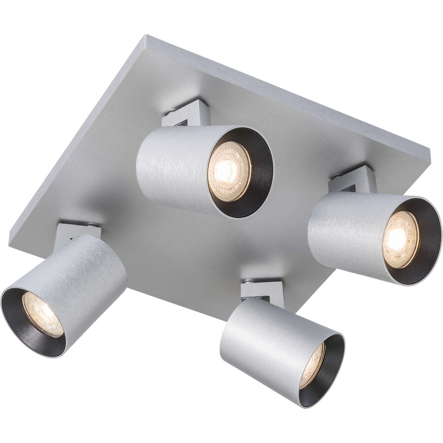 Image of Coop Spot Payton