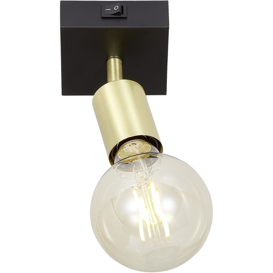 Image of Coop Spot Sine