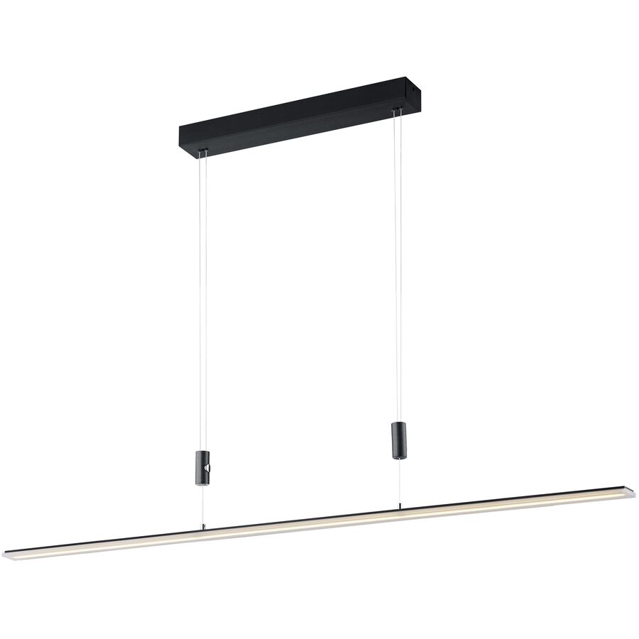 Image of Coop Pendellampe Fly