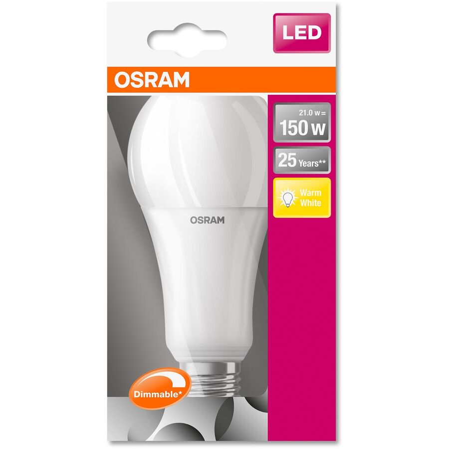 Bulbs Lampadine Brembio