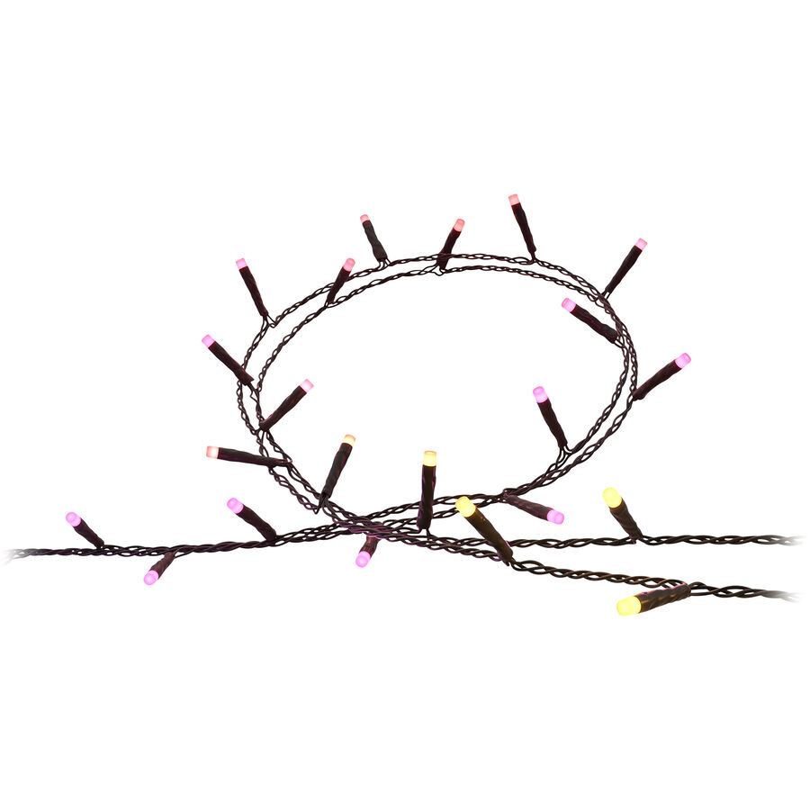 Philips Hue Ghirlanda luminosa Hue