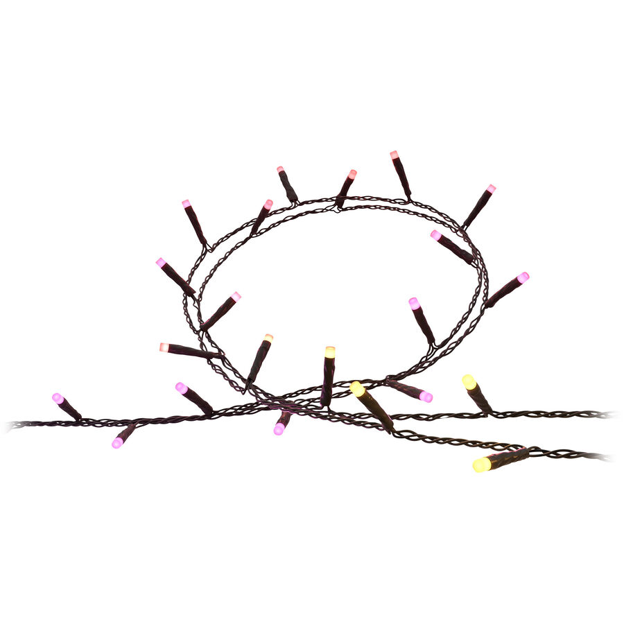 Philips Hue Ghirlanda luminosa Hue