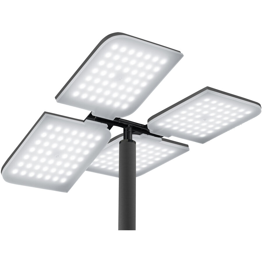 Bankamp Lampada a stelo Quadrifoglio