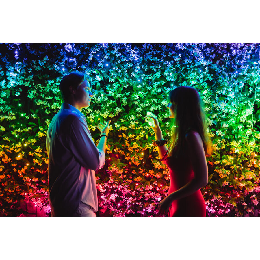 Twinkly Ghirlanda luminosa STRINGS