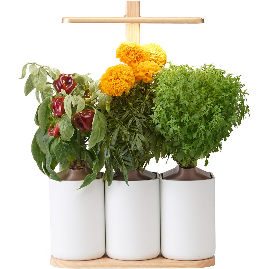 Prêt à Pousser Blumentopf Prêt à Pousser