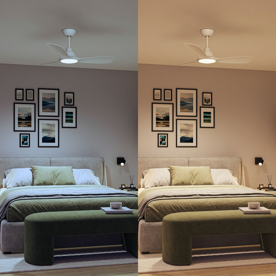 Philips Ventilator Philips