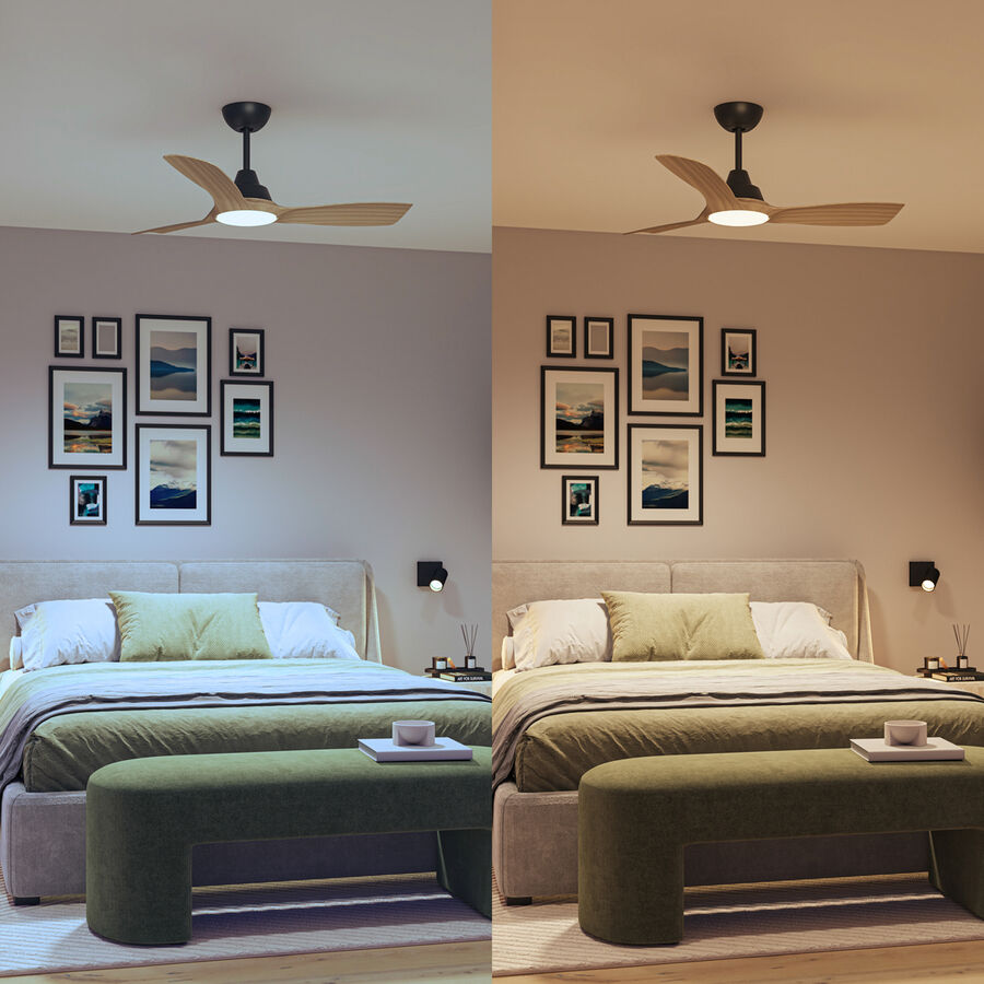 Philips Ventilator Philips