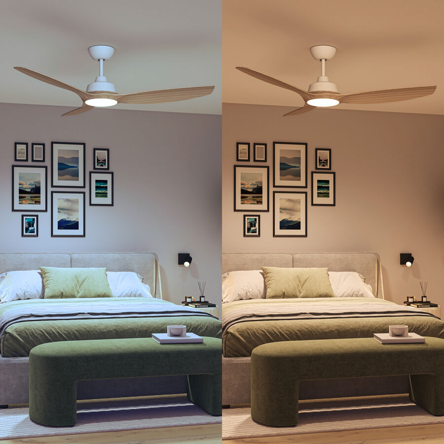 Philips Ventilator Philips